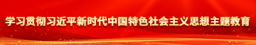 嗯啊用力操啊视频学习贯彻习近平新时代中国特色社会主义思想主题教育