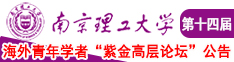 日韩精品三级大操屏南京理工大学第十四届海外青年学者紫金论坛诚邀海内外英才！